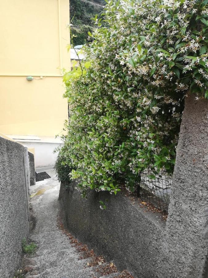 Affittacamere Le Oche Riomaggiore Eksteriør billede